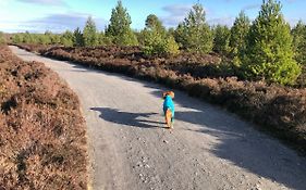 Ventoux